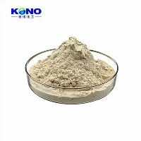 Lumbrokinase pulver